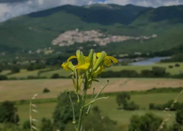 La Casa Di Linda Апартаменты *